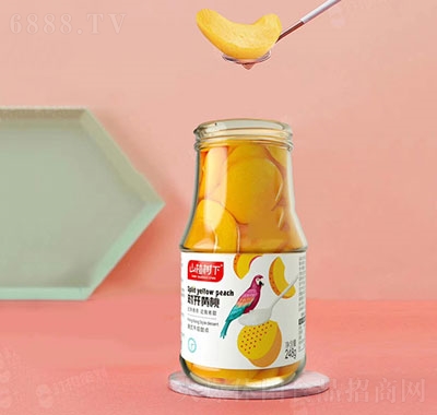 ɽ高_Sҹ^ˮ^ʳƷ246g